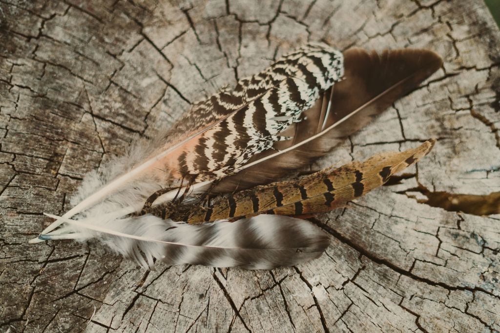 Out in the Field&nbsp;#01