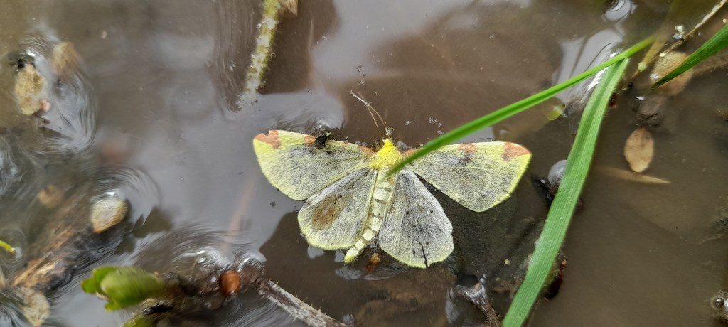 Out in the Field #02