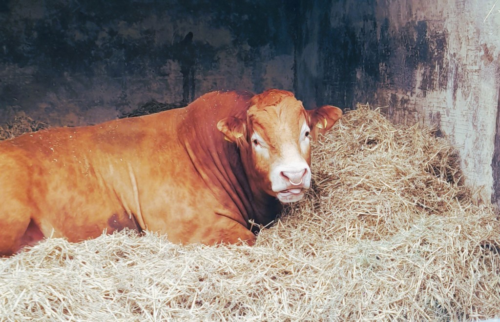 Out in the Field #06