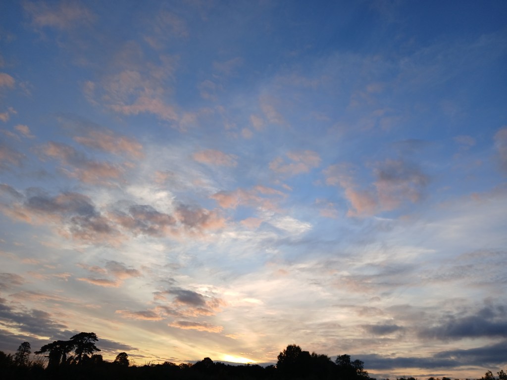 Out in the Field #05